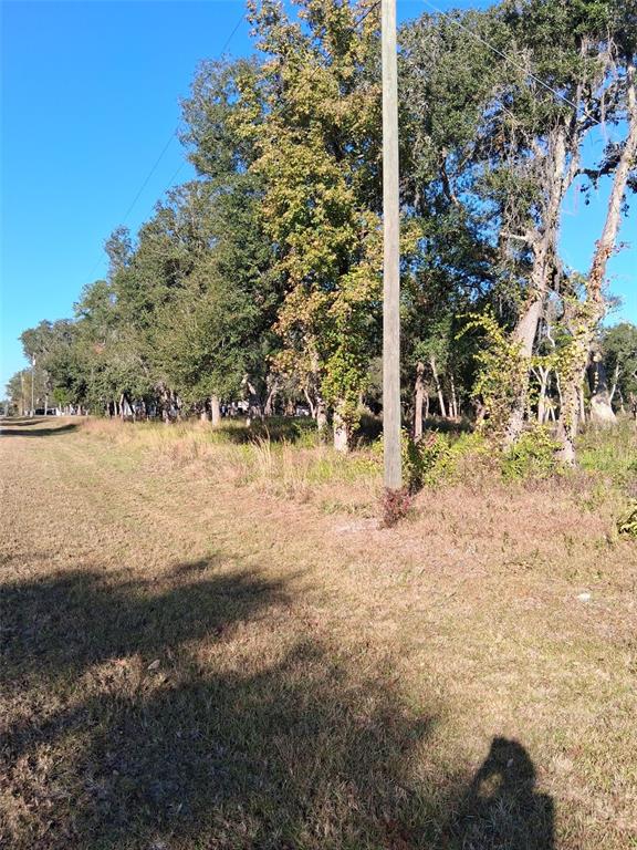 0 AUGUST AVENUE, WEBSTER, FL — photo 3 of 4