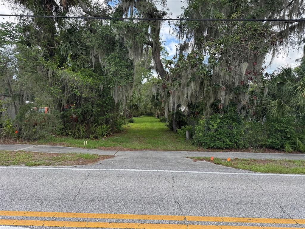 A vacant, grassy lot framed by large trees with Spanish moss sits beside a road — 308 S BLUE LAKE AVENUE, DELAND, FL