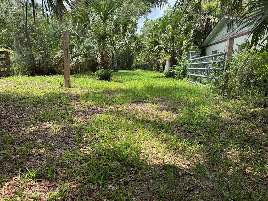 A grassy yard features palm trees, a metal gate, and the side of a building — 308 S BLUE LAKE AVENUE, DELAND, FL