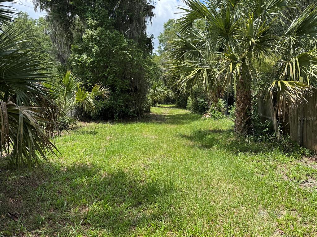 A grassy, narrow lot is bordered by palm trees and dense vegetation — 308 S BLUE LAKE AVENUE, DELAND, FL