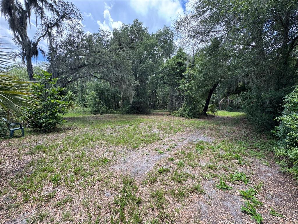 A grassy, partially shaded lot is surrounded by mature trees and dense foliage — 308 S BLUE LAKE AVENUE, DELAND, FL