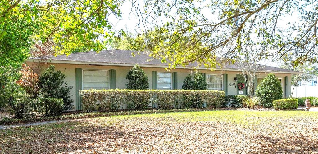 A single-story house with a light-colored exterior, green shutters, and a large front hedge — 38732 TALL DRIVE, ZEPHYRHILLS, FL