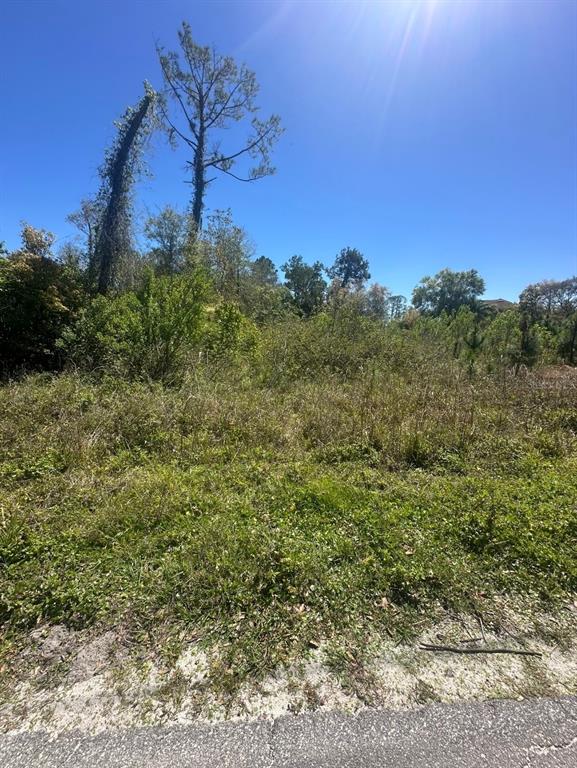 2548 E LAKE DRIVE, DELAND, FL — photo 2 of 4