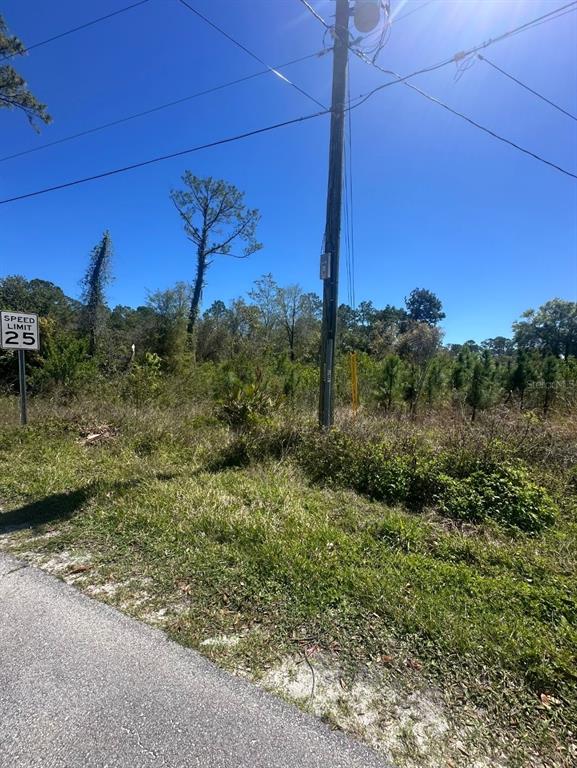2548 E LAKE DRIVE, DELAND, FL — photo 3 of 4