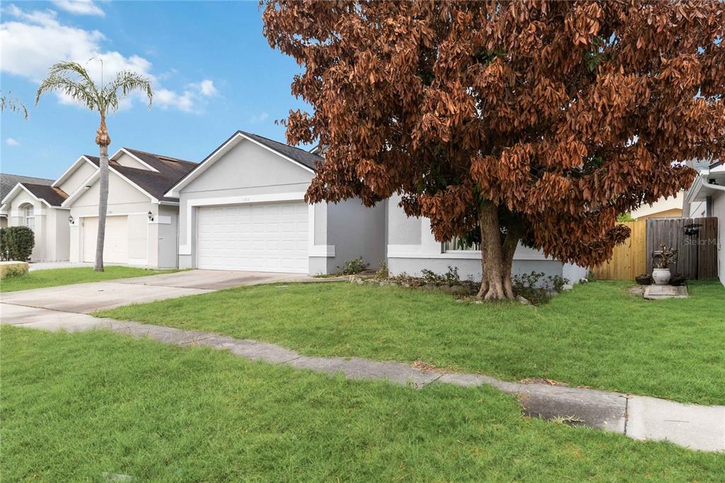 A single-story house with a white garage, a large brown tree, and a palm tree — 11913 HATCHER CIRCLE, ORLANDO, FL