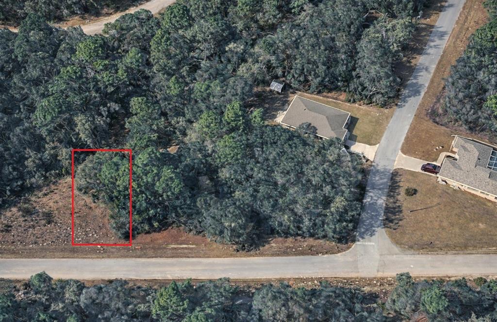 An aerial view shows a rectangular plot of land outlined in red amidst wooded surroundings — 11328 N CATHY TERRACE, DUNNELLON, FL