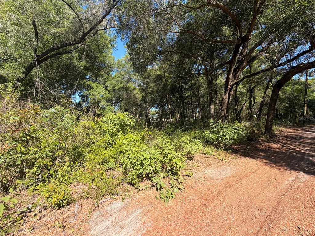 10185 CREEKFIELD ROAD