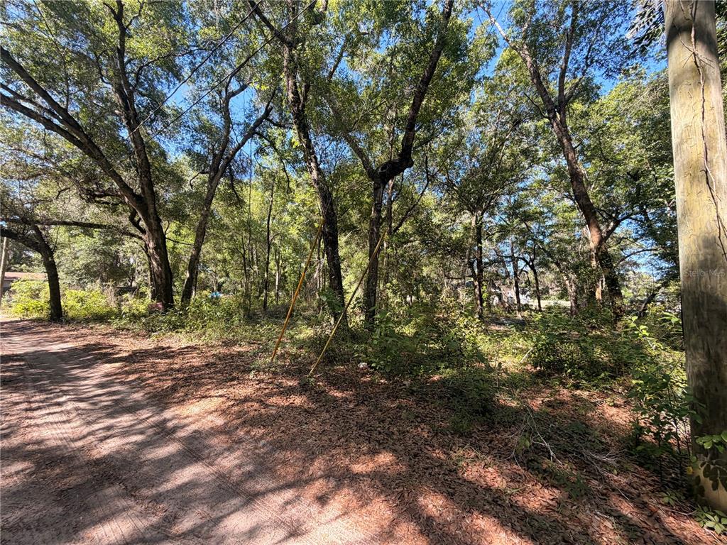 A dirt road runs alongside a wooded lot filled with mature trees and dense undergrowth — 10185 CREEKFIELD ROAD, BROOKSVILLE, FL
