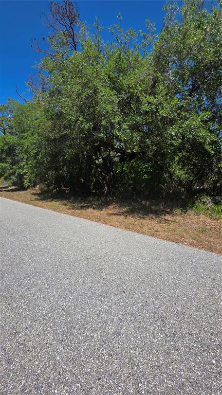 A paved road runs alongside a wooded lot with dense trees and brush — 18342 OXFORD AVENUE, PORT CHARLOTTE, FL