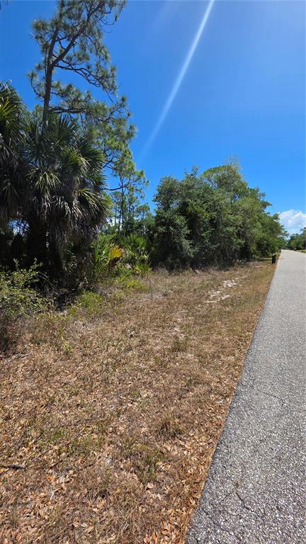 A paved road runs alongside a vacant, wooded lot with palm trees and native vegetation — 18342 OXFORD AVENUE, PORT CHARLOTTE, FL