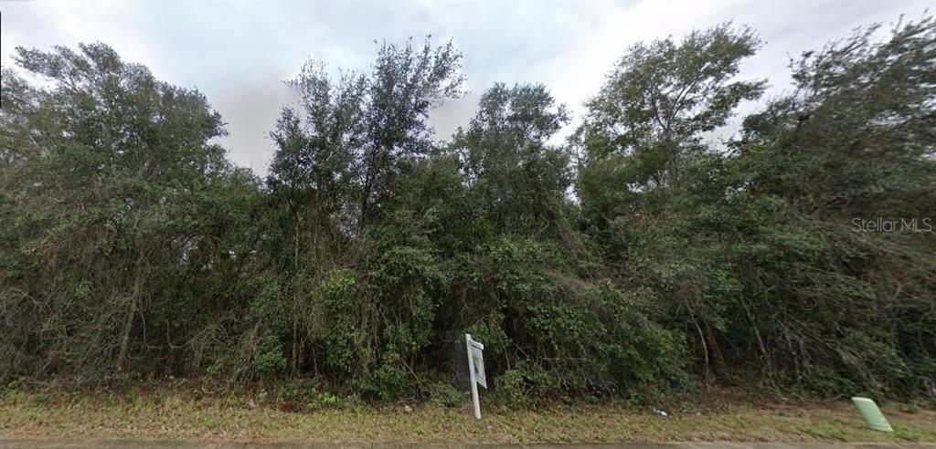 SE HAWTHORNE RD, HAWTHORNE, FL — photo 2 of 6