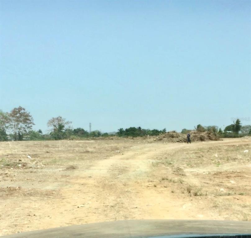 A dirt path leads across a large, cleared, and undeveloped plot of land — PR-8869 AT KILOMETER 0.7, PALMAS WARD, CAT, CATANO, PR
