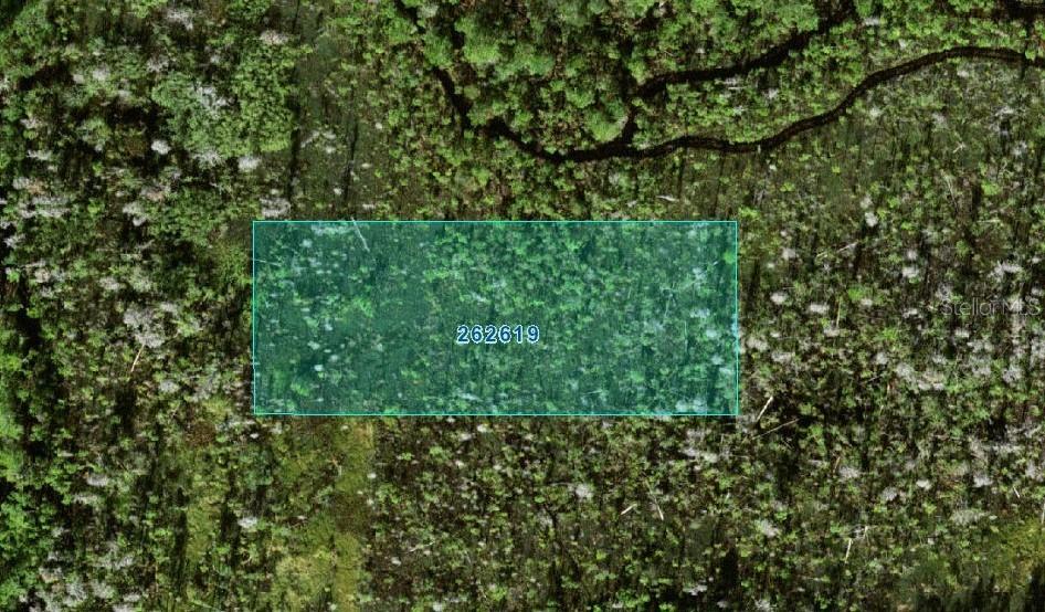 An aerial view shows a rectangular plot of land outlined in blue over wooded terrain — N/A, POLK CITY, FL