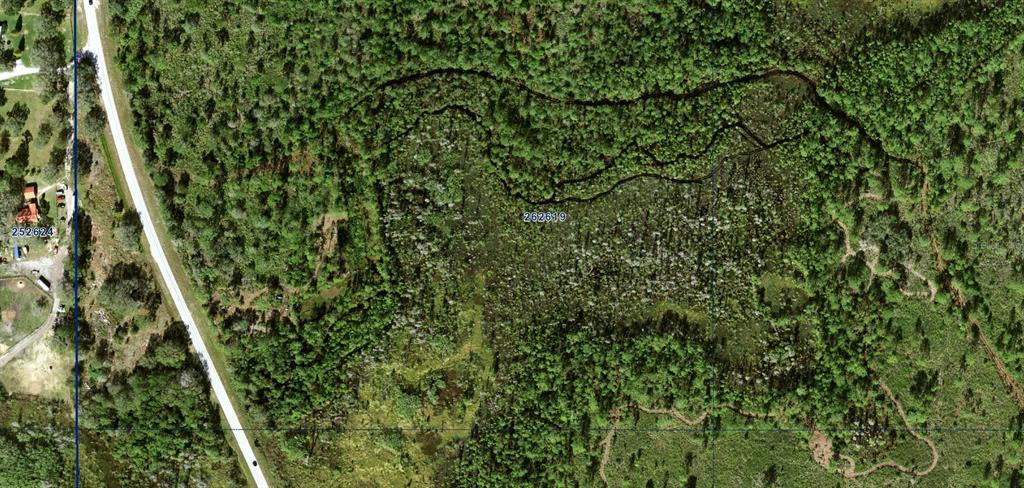 This aerial map shows a wooded lot with a central wetland area and a road — N/A, POLK CITY, FL