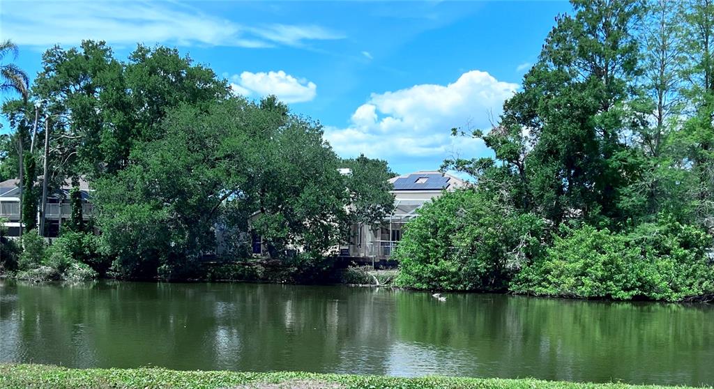 A single-story house with a carport, a garage, and a large tree in the yard — 2219 ALICE LANE, CLEARWATER, FL