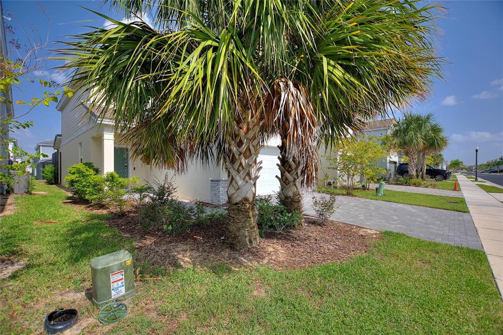 7384 OAKMOSS LOOP, DAVENPORT, FL — photo 3 of 30