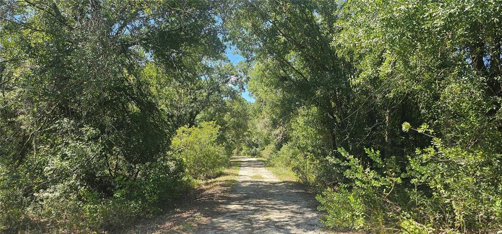41250 SR-64 E, MYAKKA CITY, FL — photo 2 of 6