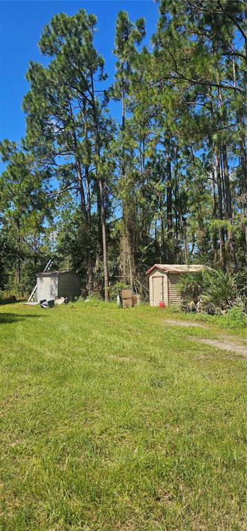 41250 SR-64 E, MYAKKA CITY, FL — photo 5 of 6