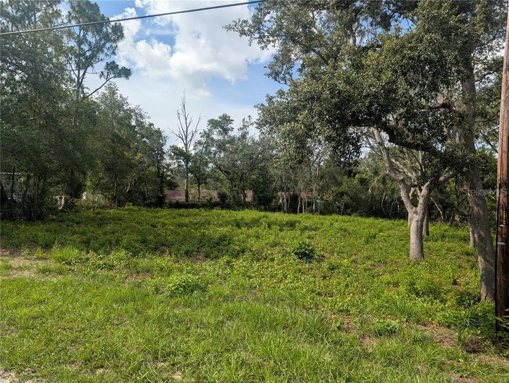 A vacant, grassy lot is surrounded by mature trees under a blue sky — 0 MERLIN CIRCLE, DADE CITY, FL