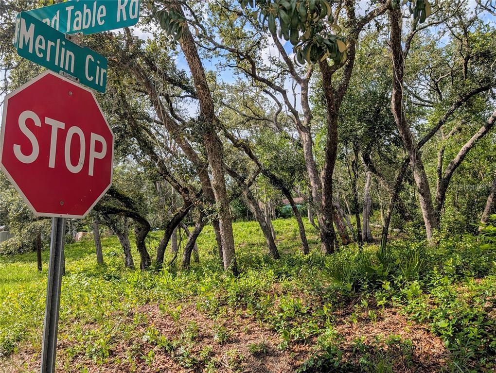 A stop sign and street signs stand before a wooded, undeveloped lot — 0 MERLIN CIRCLE, DADE CITY, FL