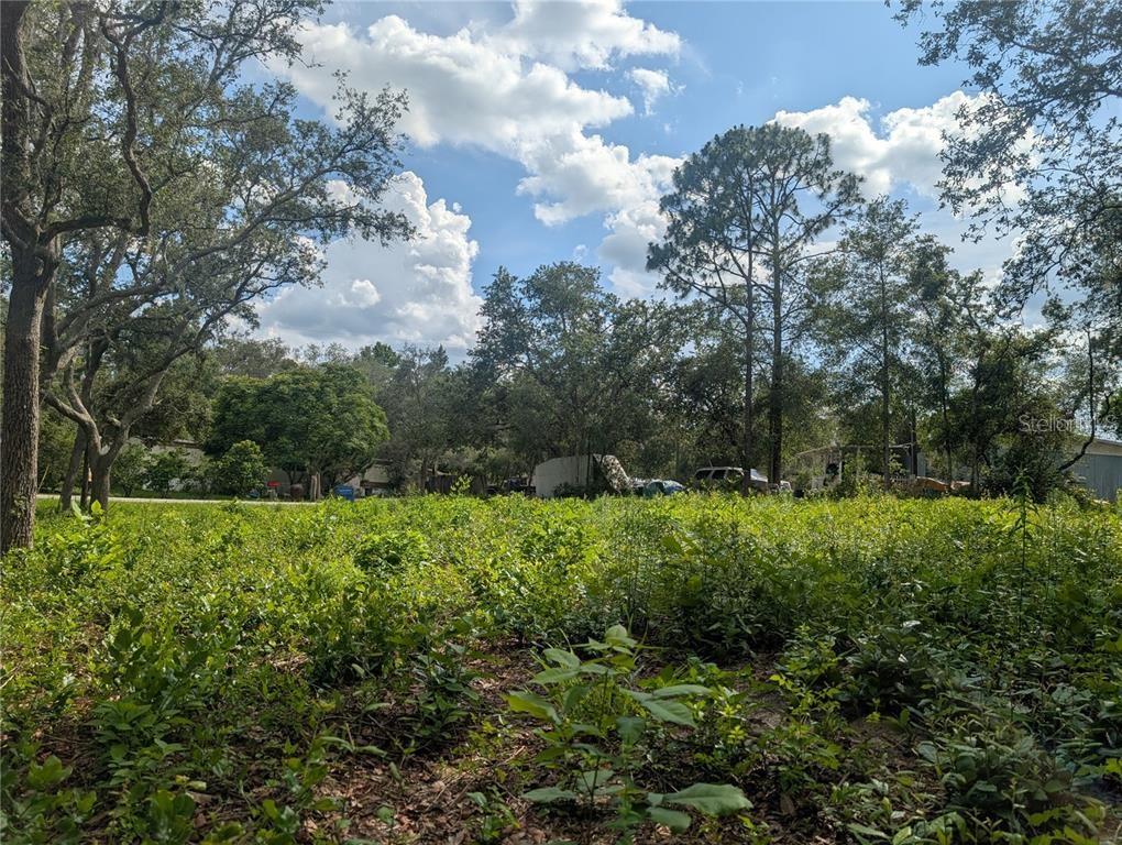 A vacant, overgrown lot with trees and shrubs under a blue sky with clouds — 0 MERLIN CIRCLE, DADE CITY, FL