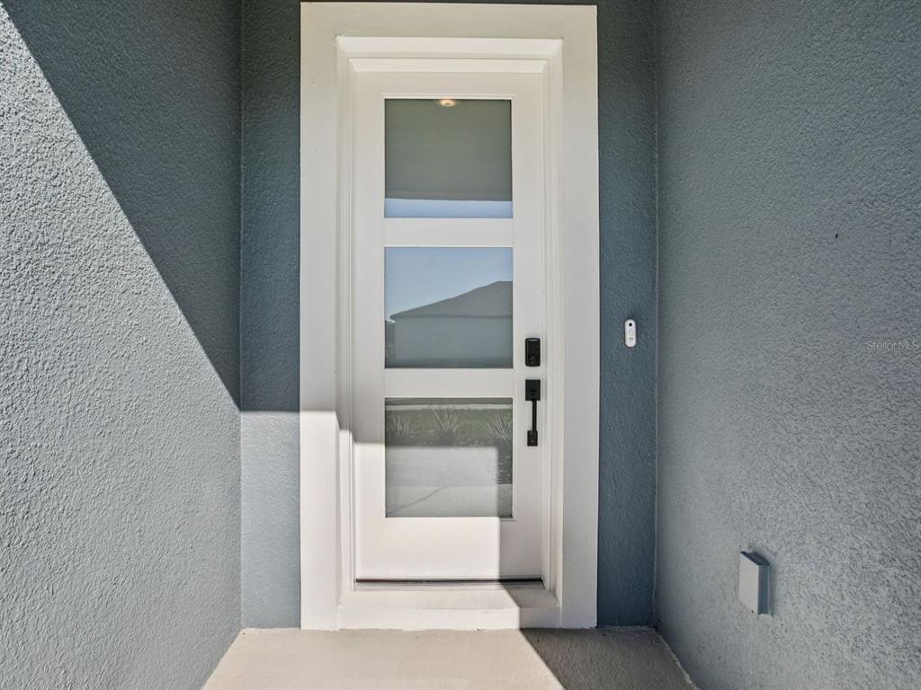 A white front door with three frosted glass panels is set in a gray wall — 1922 COOLRIDGE PLACE, ZEPHYRHILLS, FL