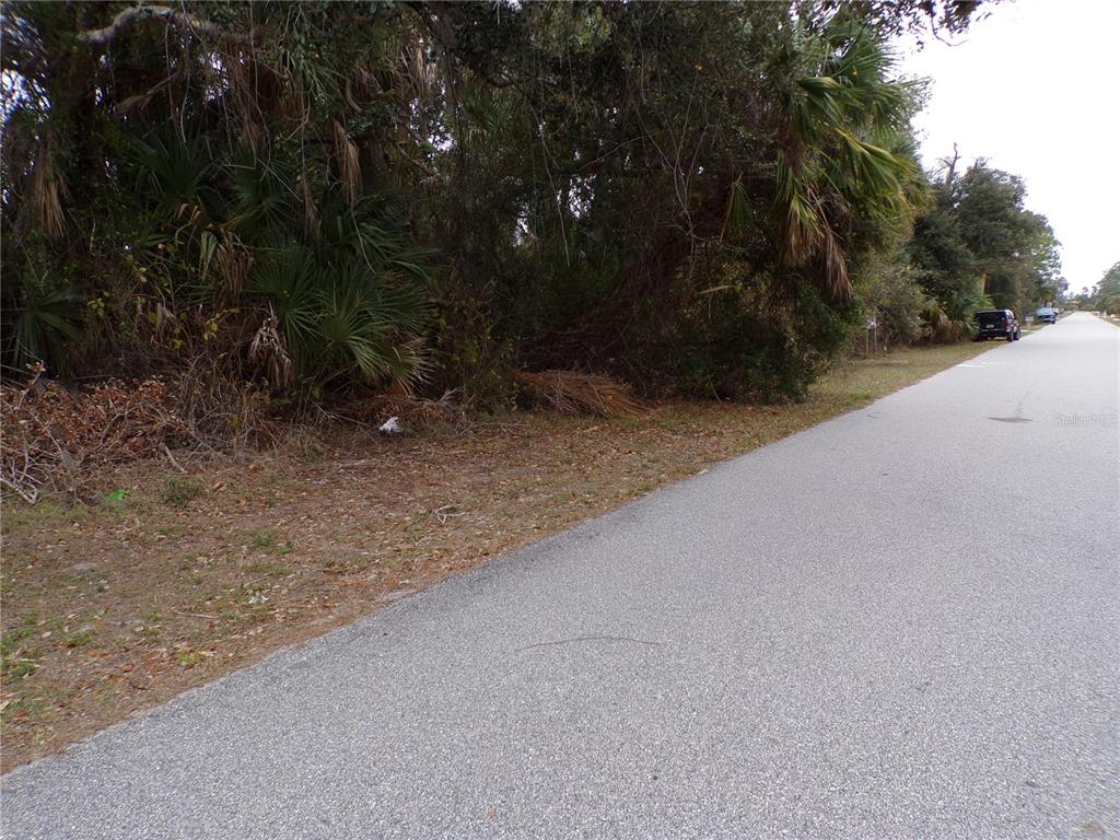 A paved road runs alongside a wooded lot with dense vegetation and palm trees — MUSIC LANE, NORTH PORT, FL