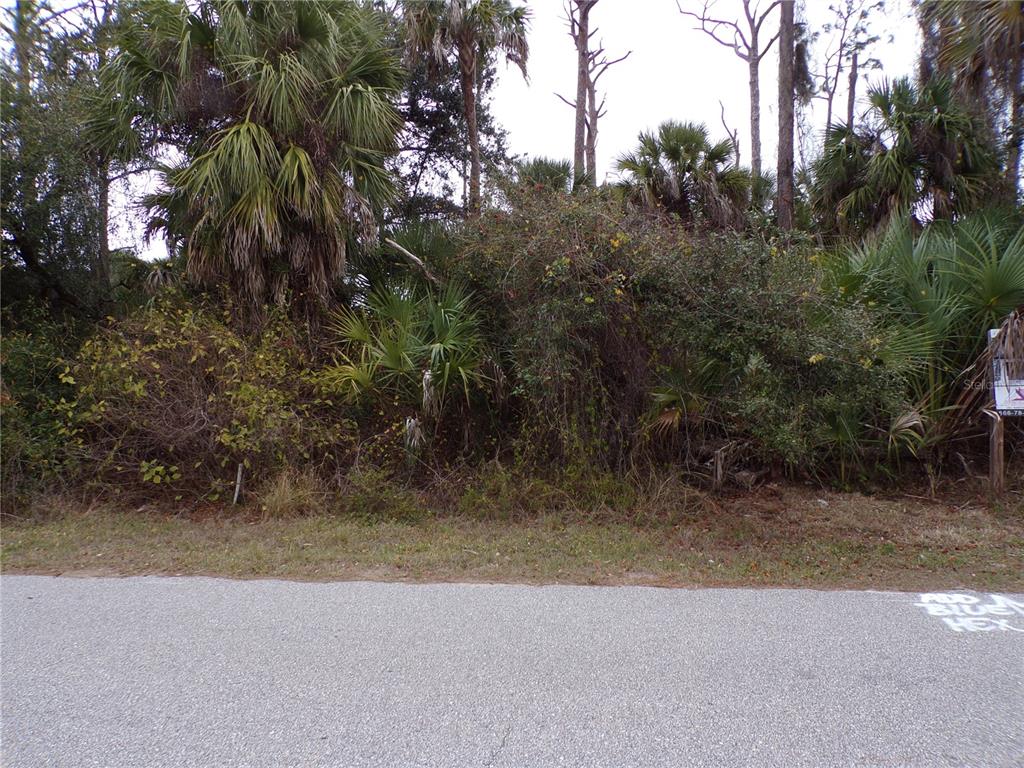 A dense, overgrown wooded lot sits behind an asphalt road with a real estate sign — MUSIC LANE, NORTH PORT, FL