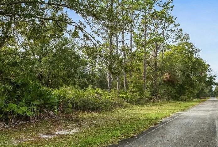 A paved road runs alongside a wooded lot with dense trees and palmetto bushes — INDIAN LAKE DRIVE, INDIAN LAKE ESTATES, FL