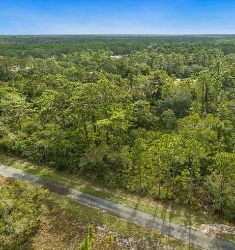 An aerial view shows a paved road bordering a densely wooded, undeveloped plot of land — INDIAN LAKE DRIVE, INDIAN LAKE ESTATES, FL