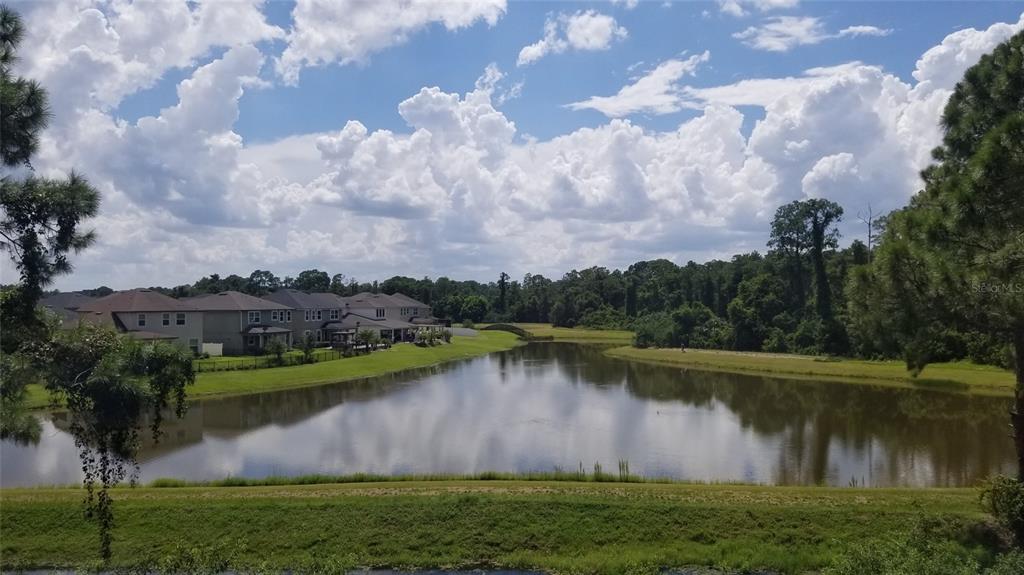 A view of a pond surrounded by grassy banks, trees, and suburban houses under clouds — 5160 CONROY ROAD UNIT 1437, ORLANDO, FL