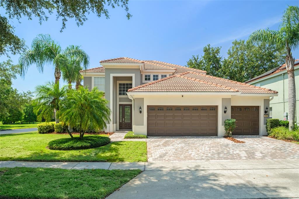 390 ANESSA ROSE LOOP