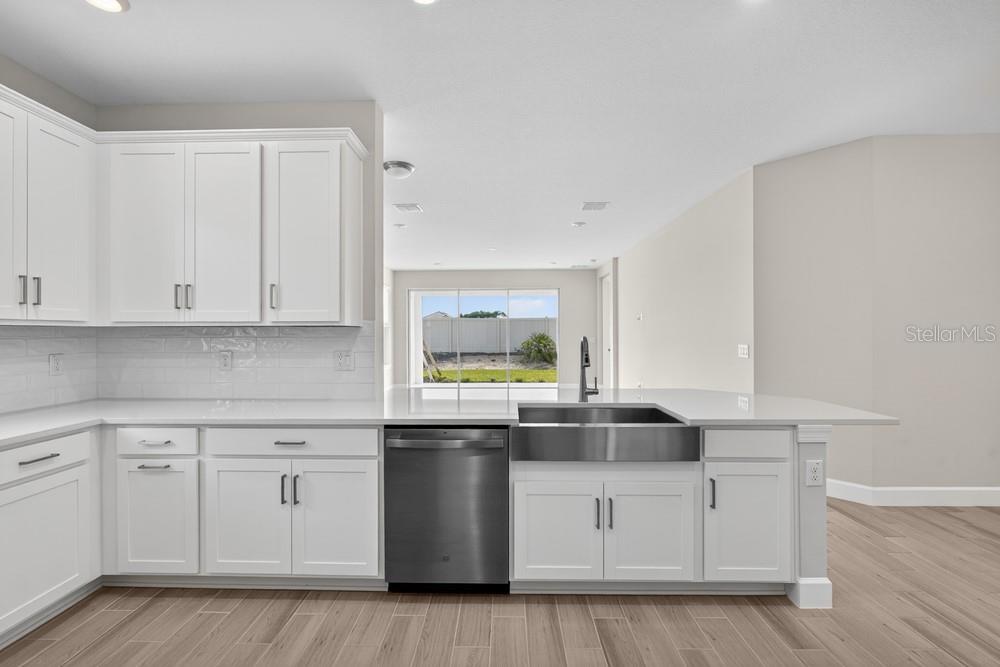 A modern kitchen features white cabinets, a farmhouse sink, stainless steel appliances, and wood-look flooring — 3946 IMMACOLATA WAY, WESLEY CHAPEL, FL