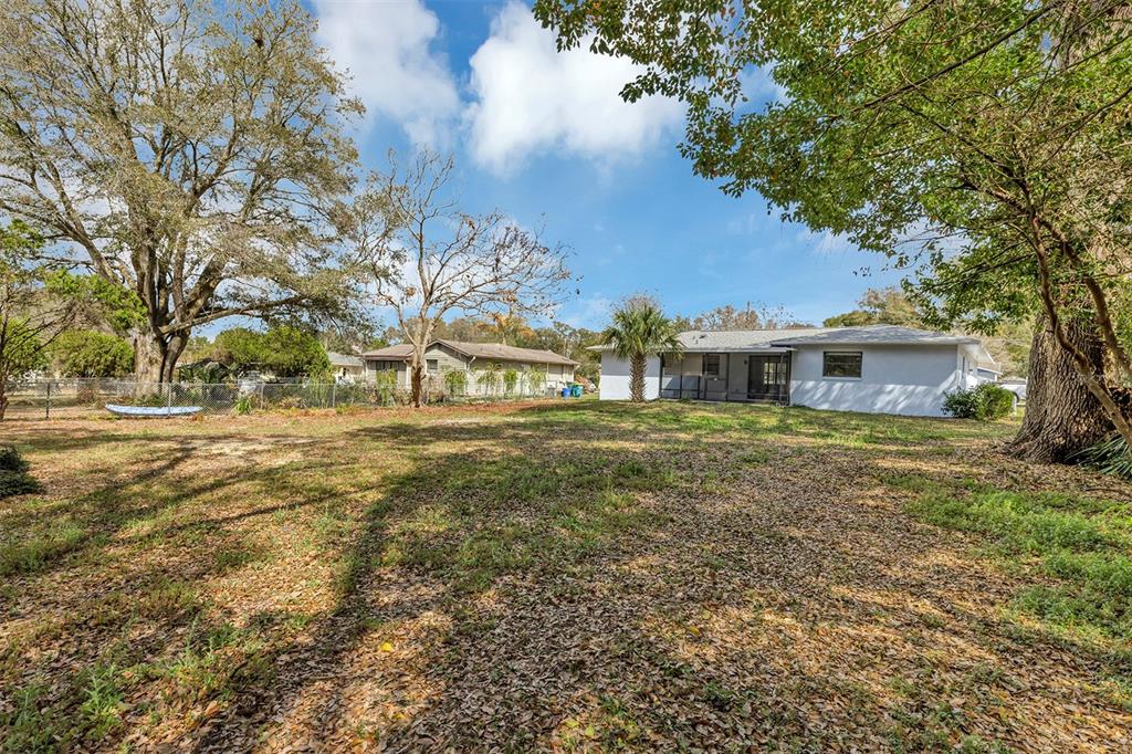 A large, grassy backyard features mature trees, a chain-link fence, and a single-story house — 606 THIRD AVENUE, LADY LAKE, FL