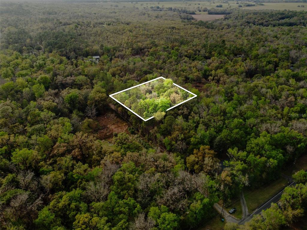 An aerial view shows a rectangular plot of land outlined in white amidst dense forest — 0 CHISHOLM STREET, BROOKSVILLE, FL