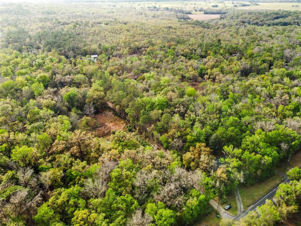 An aerial view shows a wooded lot with a small clearing and a paved road — 0 CHISHOLM STREET, BROOKSVILLE, FL