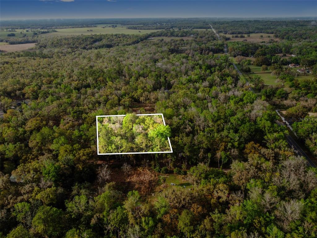 An aerial view shows a rectangular plot of land outlined in white amidst dense forest — 0 CHISHOLM STREET, BROOKSVILLE, FL