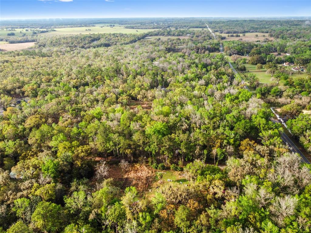An aerial view shows a dense forest landscape with a road running along the right side — 0 CHISHOLM STREET, BROOKSVILLE, FL