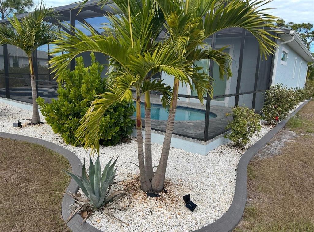 A triple-trunk palm tree stands in a white-rock garden bed beside a screened pool enclosure — 109 FLOWER ROAD, ROTONDA WEST, FL