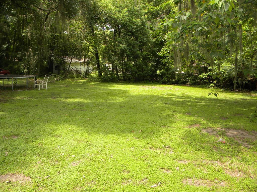 A grassy backyard features a trampoline, a white chair, and dense surrounding trees — 1016 NE 8TH AVENUE, OCALA, FL