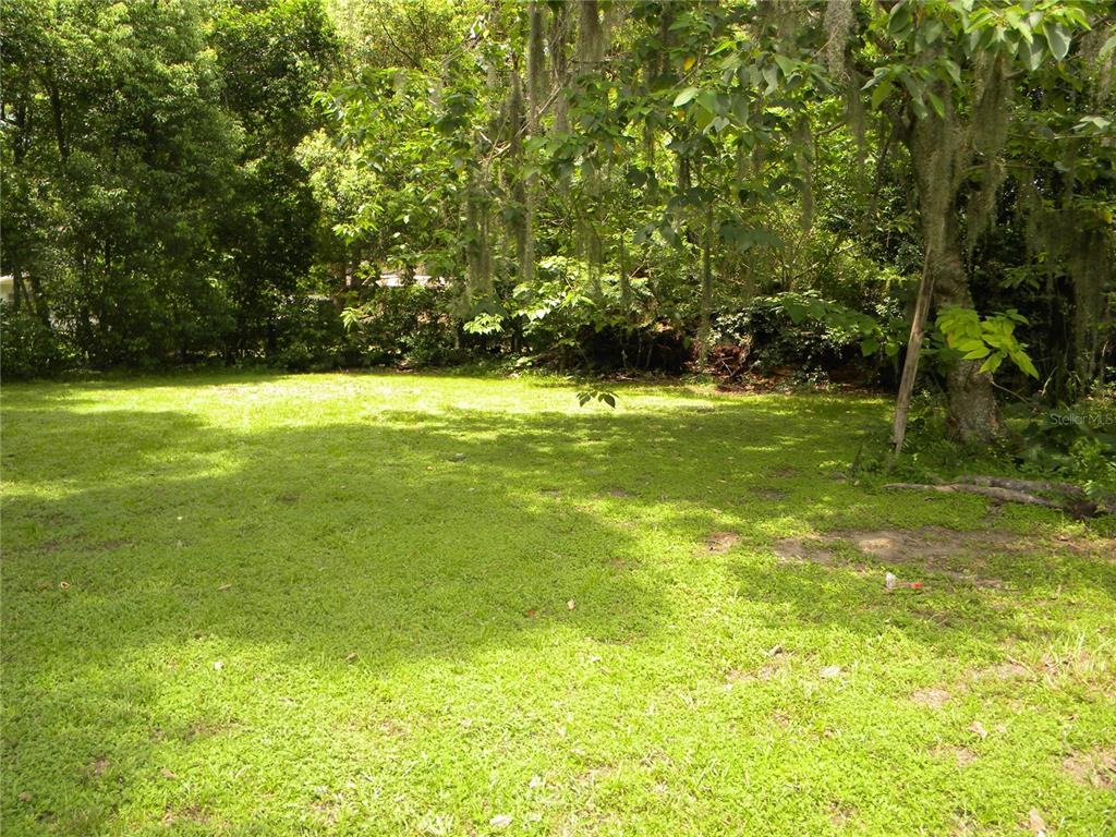 A grassy backyard features mature trees with hanging moss and a dense wooded perimeter — 1016 NE 8TH AVENUE, OCALA, FL