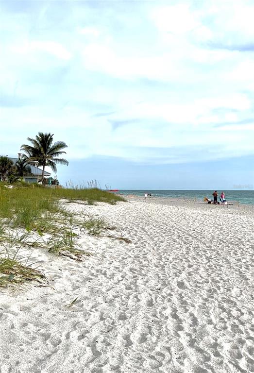 A sandy beach with dune grass and a palm tree under a cloudy sky — 4377 DURANT STREET, PORT CHARLOTTE, FL