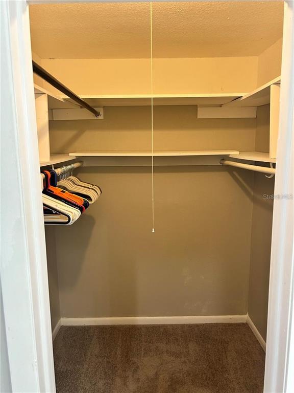 A walk-in closet features beige walls, carpeted flooring, and white shelving with hanging rods — 5855 16TH STREET S UNIT 6, ST PETERSBURG, FL