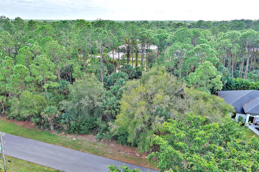 An aerial view shows a vacant, wooded lot situated between a paved road and houses — 3847 HIGHLIGHT STREET, FORT MYERS, FL