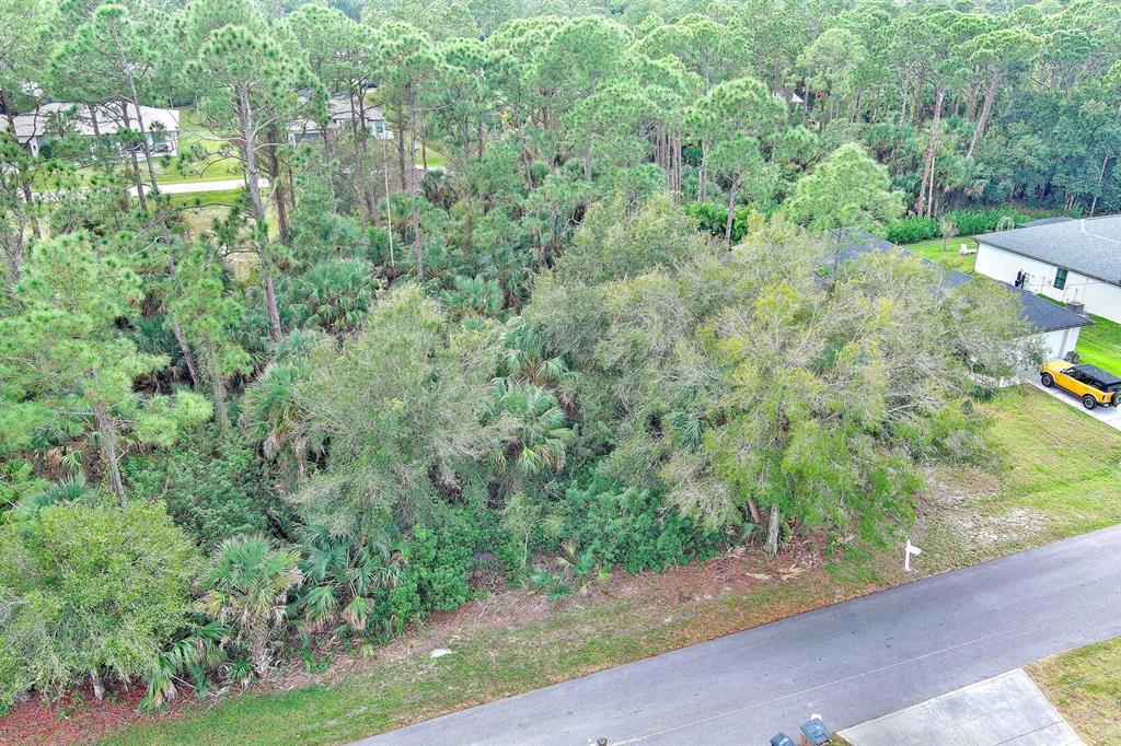 An aerial view shows a wooded, undeveloped residential lot situated between two houses — 3847 HIGHLIGHT STREET, FORT MYERS, FL