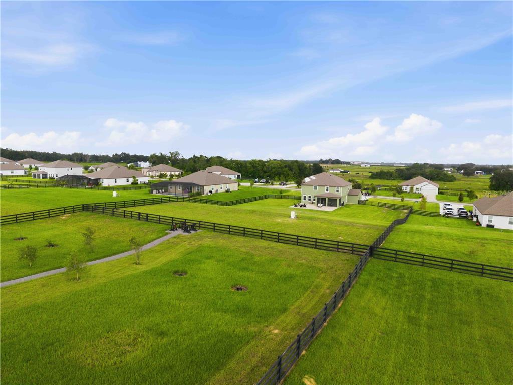 An aerial view of a residential neighborhood featuring houses with fenced-in green grassy yards — 10007 DOLPHIN GULL CIRCLE, THONOTOSASSA, FL