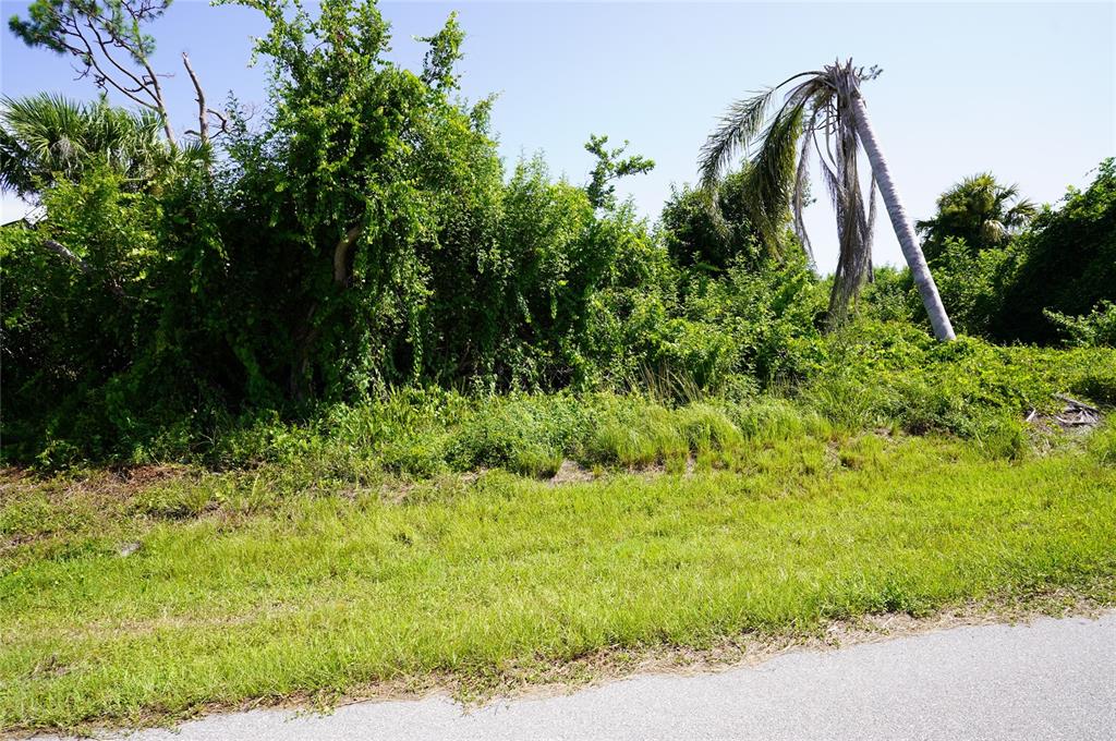 A vacant, overgrown lot with dense vegetation and a leaning palm tree beside a road — 507 MERIDAN AVENUE NW, PORT CHARLOTTE, FL