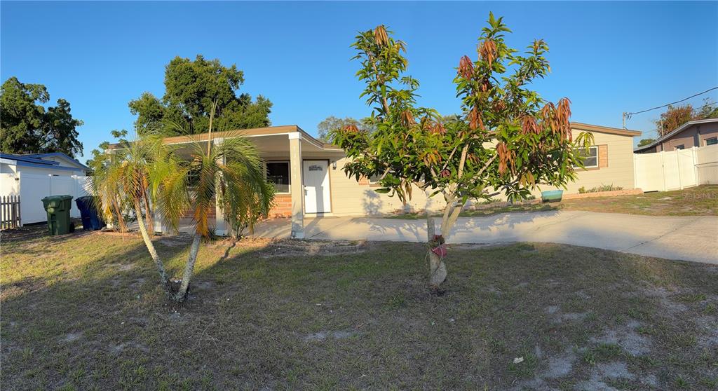 A single-story house with a covered front porch, a paved driveway, and two prominent trees — 10611 N ALTMAN STREET, TAMPA, FL