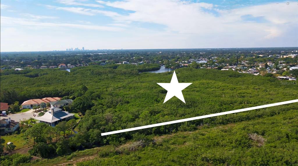 An aerial view shows a large, undeveloped wooded lot adjacent to a residential neighborhood — TIDAL SWAMP NE, ST PETERSBURG, FL