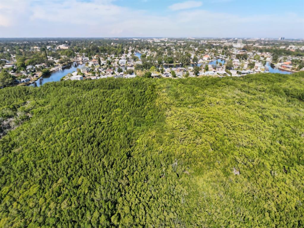 An aerial view shows a dense green forest bordering a residential neighborhood with waterfront homes — TIDAL SWAMP NE, ST PETERSBURG, FL